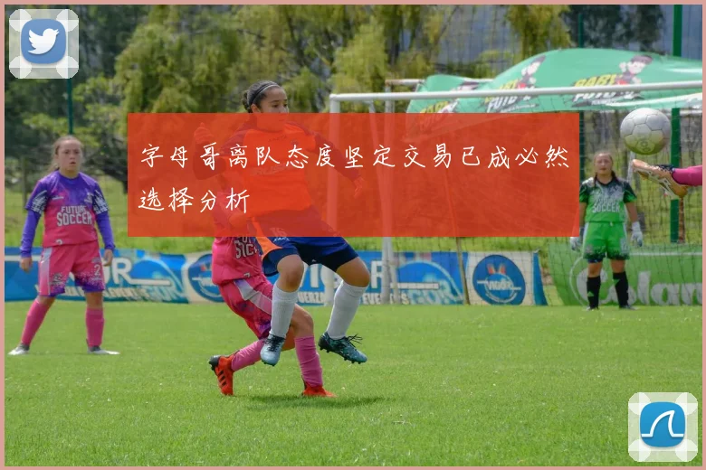 字母哥离队态度坚定交易已成必然选择分析