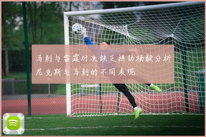 马刺与雷霆对决缺乏拼劲杨毅分析尼克斯与马刺的不同表现